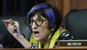 ROSA BLAMES GOP FOR DEM FLIGHT NIGHTMARE