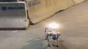 ROBOT DOGS RUN ATLANTA—CITIZENS FEAR VOICES IN THE NIGHT!